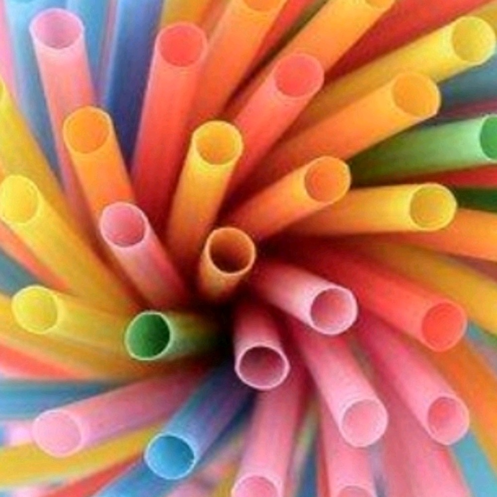 Meet your Posher, Riley